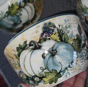 NWT Set of 4 Harvest Bowls